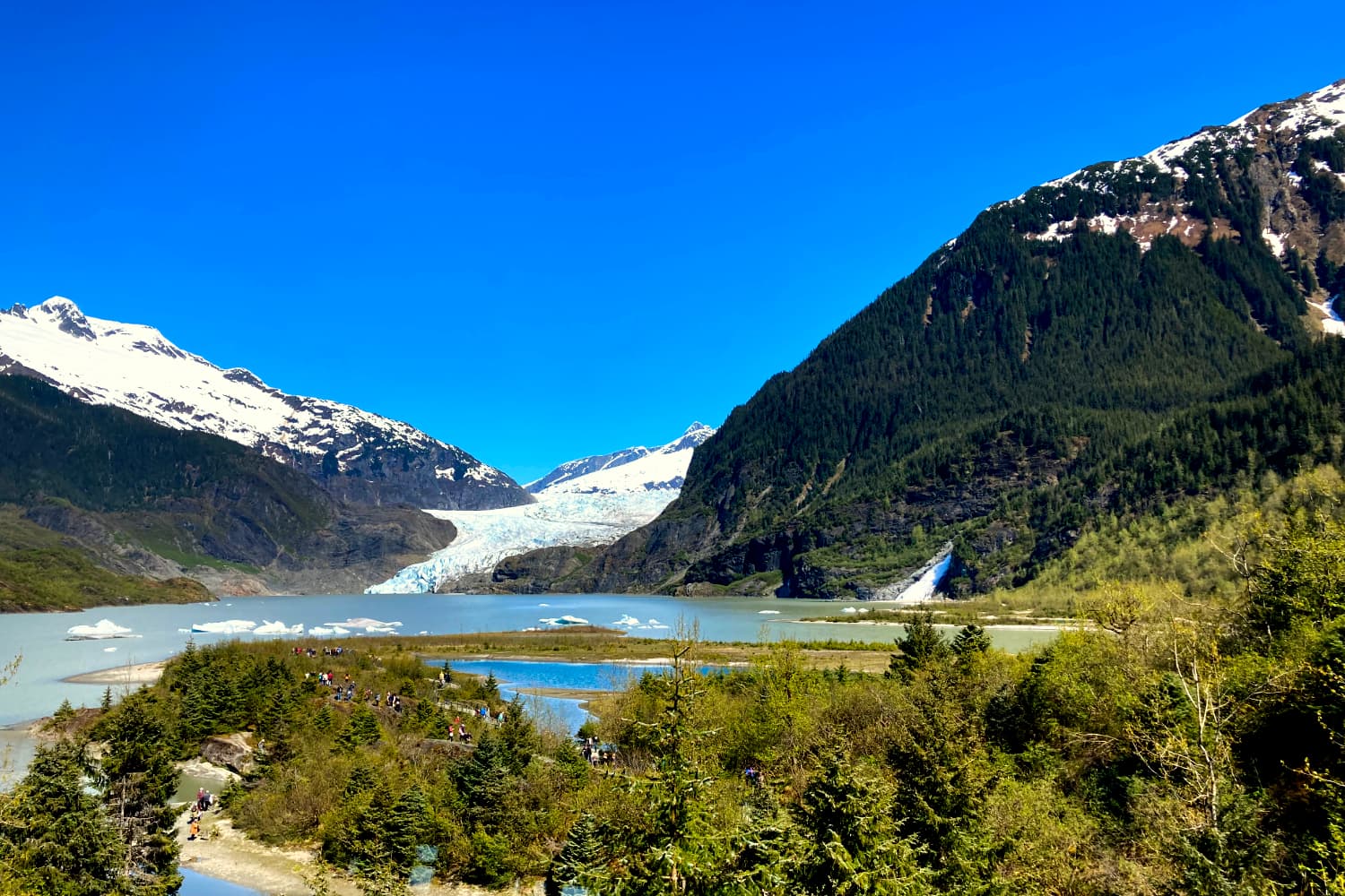 Mendenhall Glacier, Alaska